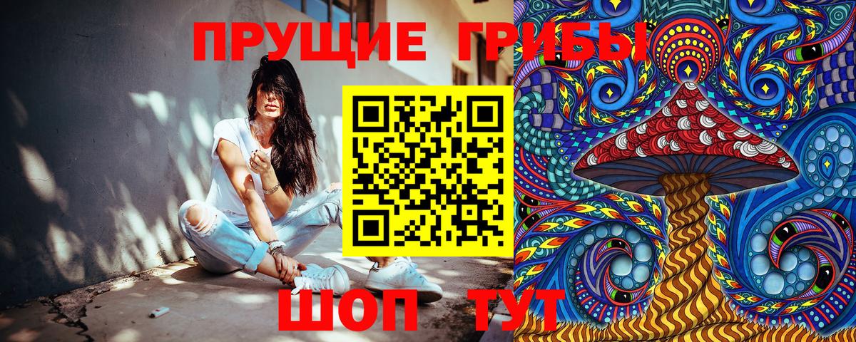 Псилоцибиновые грибы мицелий Еманжелинск