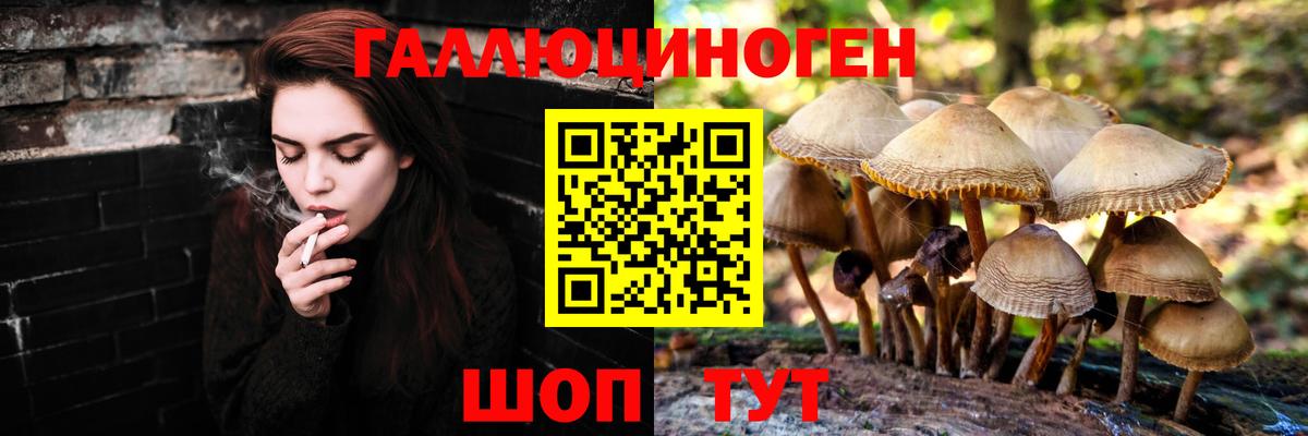 Псилоцибиновые грибы MAGIC MUSHROOMS  Галлюциногенные грибы Psilocybe  Еманжелинск  Вход с VPN 